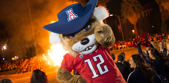 University of Arizona's mascot, Wilbur 