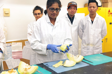 Sadhana Ravishankar works with melon in her lab at the University of Arizona School of Animal and Comparative Biomedical Sciences
